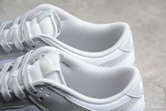 DD1391-103 Dunk Fog Nike Grey Low 0809
